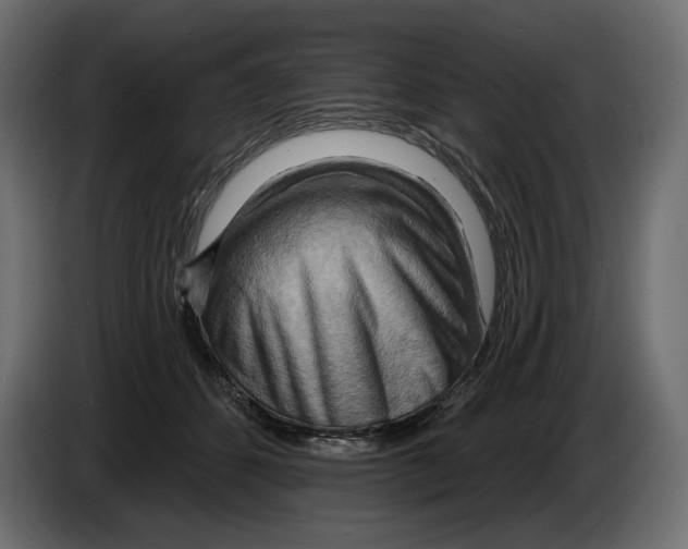 X0000082960512200703020215