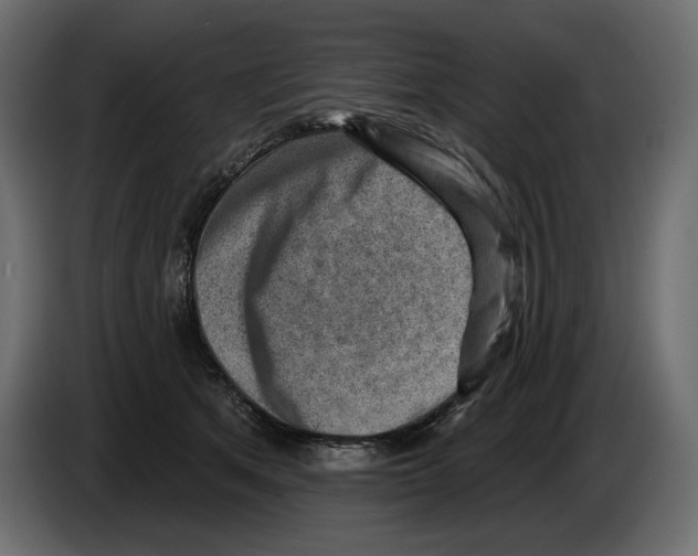 X0000082960513200703020215