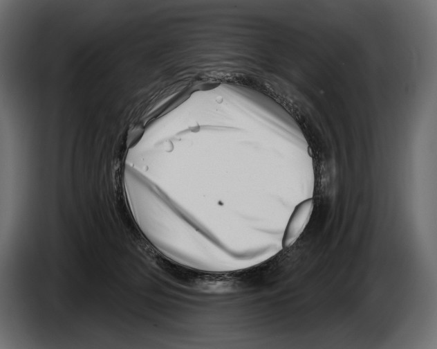 X0000082960514200703020215