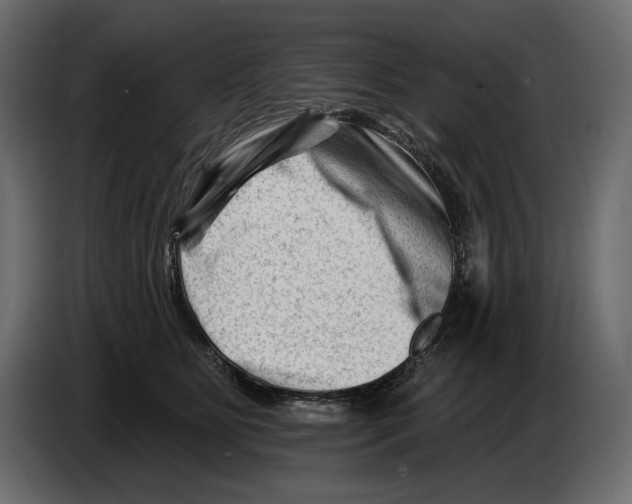 X0000082960515200703020215