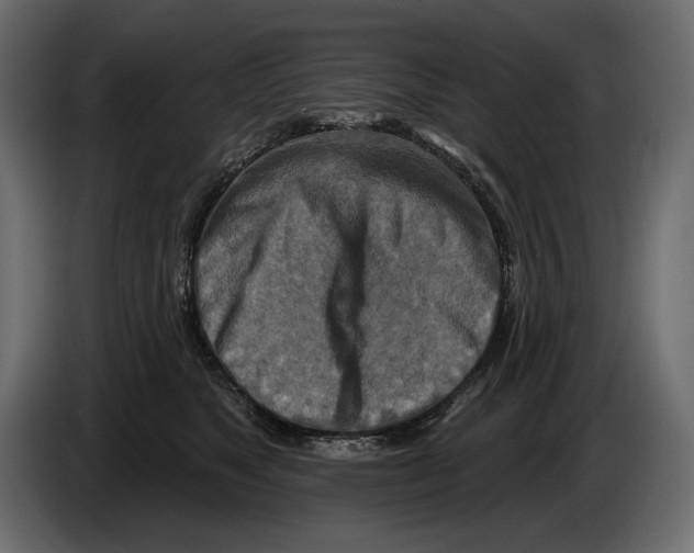 X0000082960517200703020215