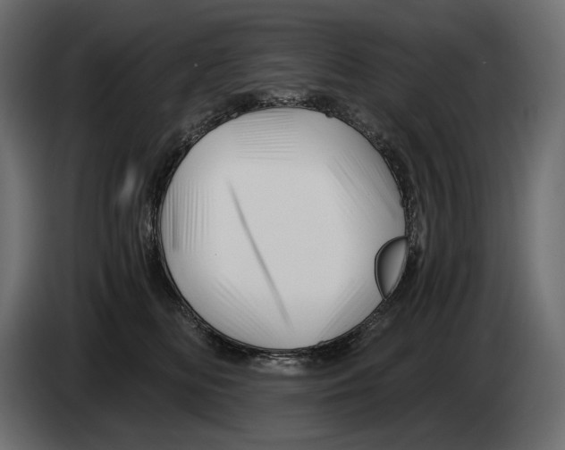 X0000082960518200703020215