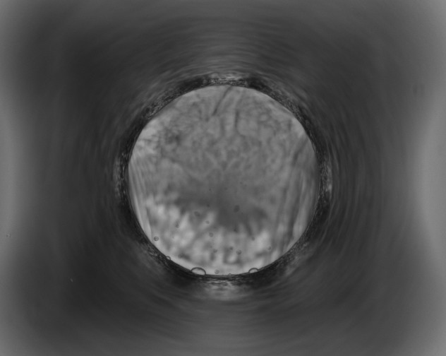 X0000082960519200703020215