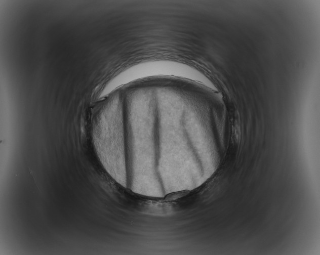 X0000082960520200703020215