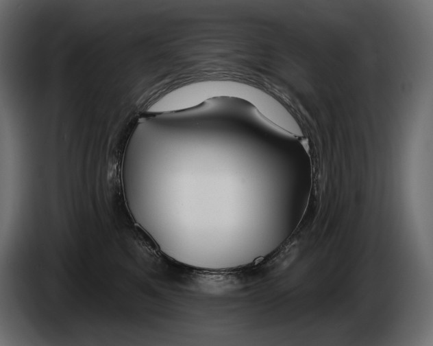 X0000082960521200703020215