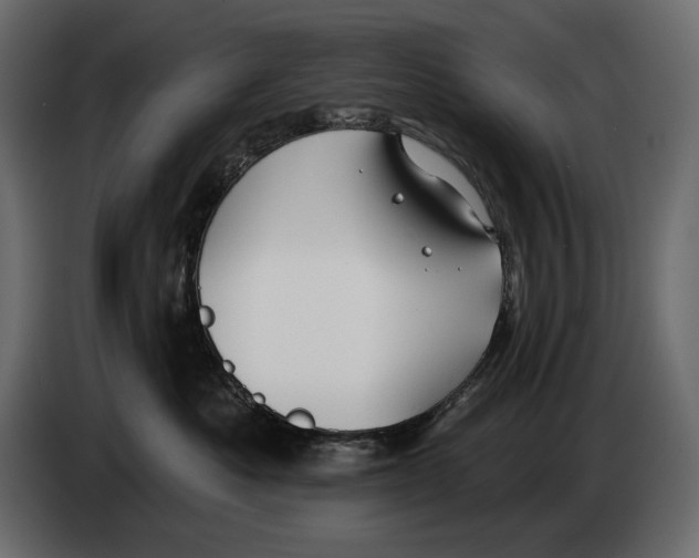 X0000082960525200703020215