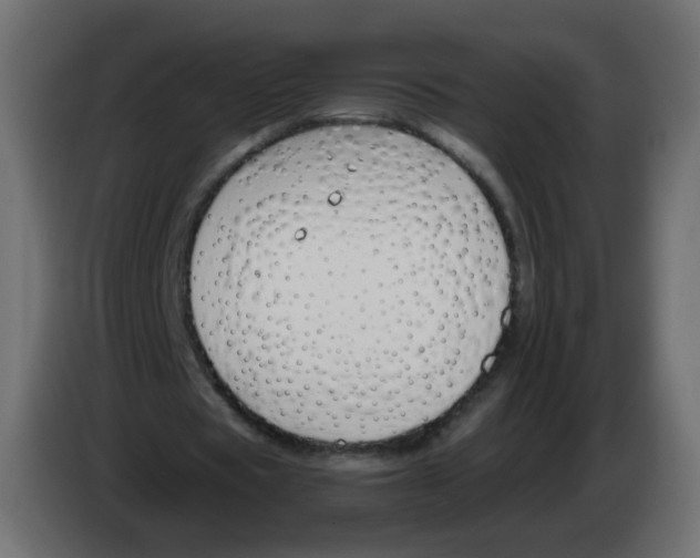 X0000082960529200703020214