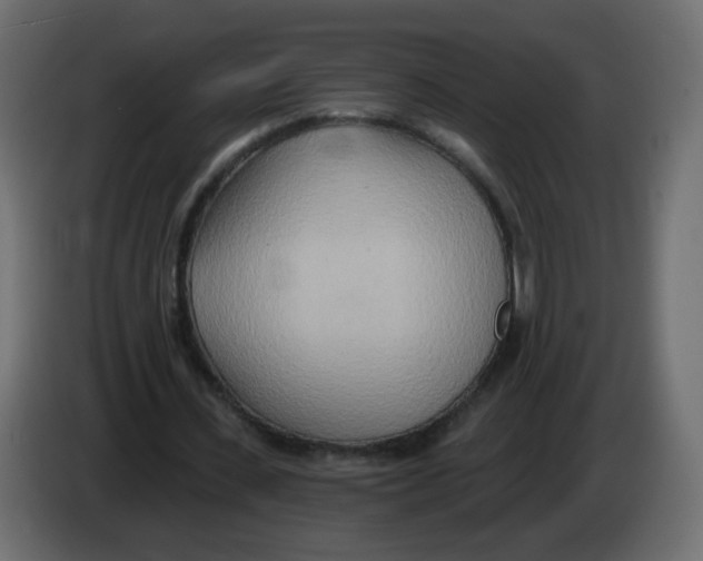 X0000082960531200703020214