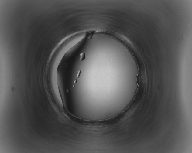 X0000082960532200703020214