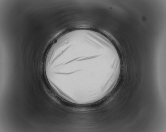 X0000082960533200703020214