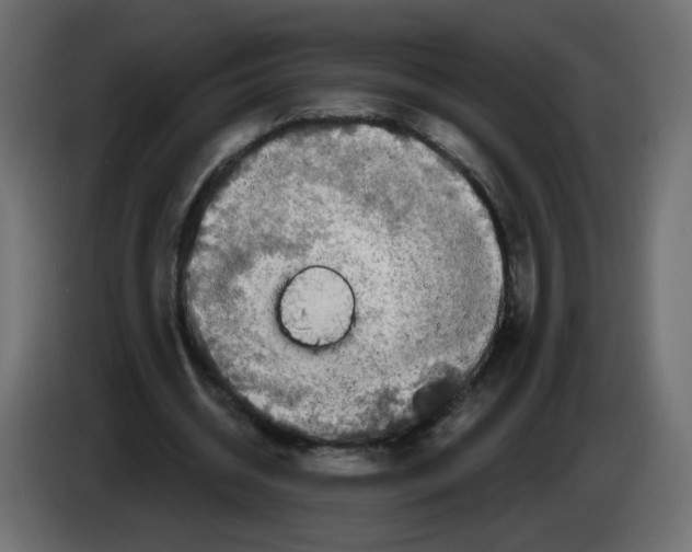 X0000082960534200703020214