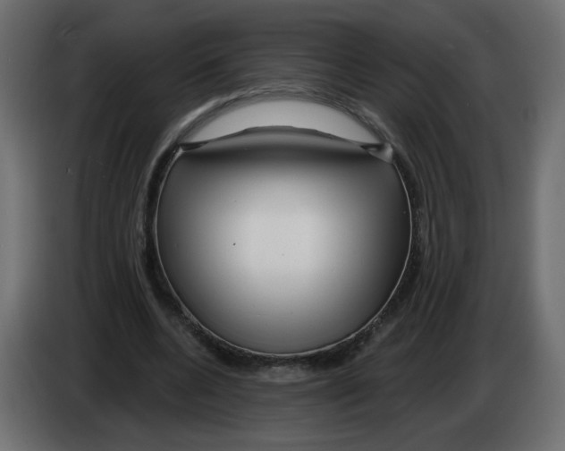 X0000082960536200703020214