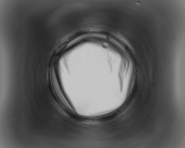 X0000082960537200703020214