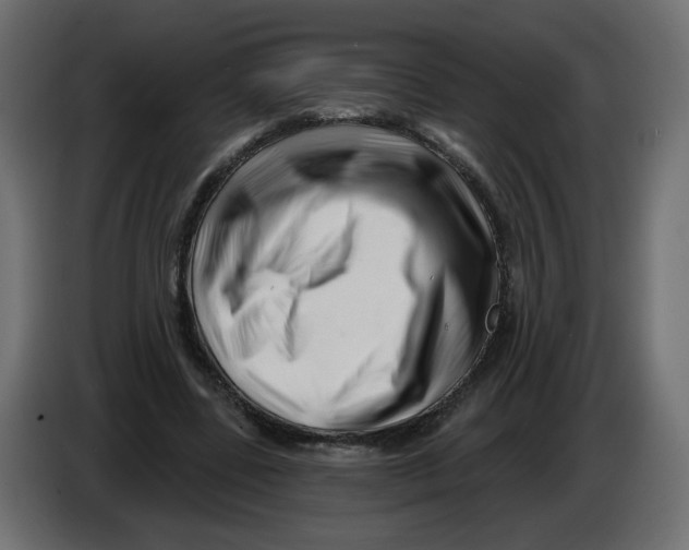 X0000082960539200703020214