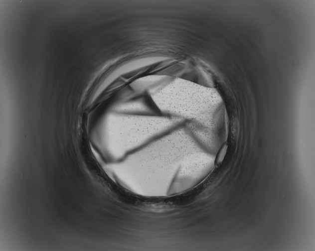 X0000082960540200703020214