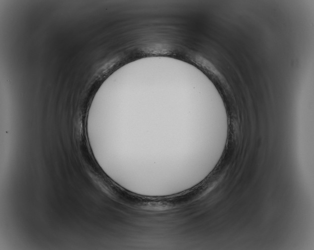 X0000082960541200703020214