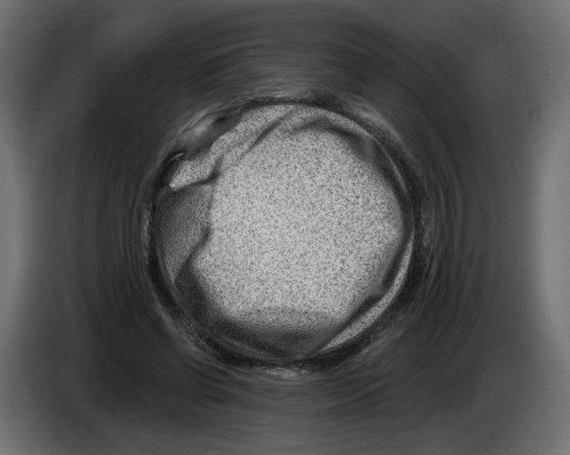 X0000082960542200703020214