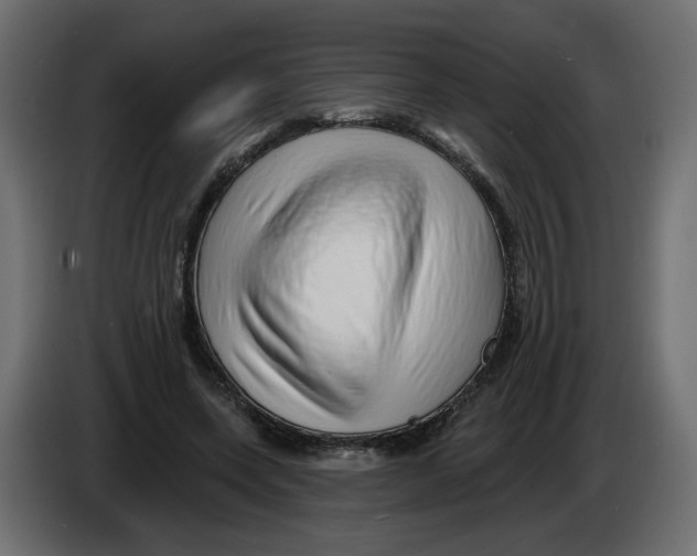 X0000082960543200703020214