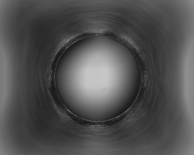 X0000082960544200703020214