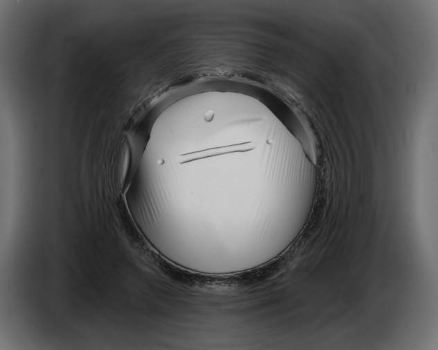 X0000082960546200703020214