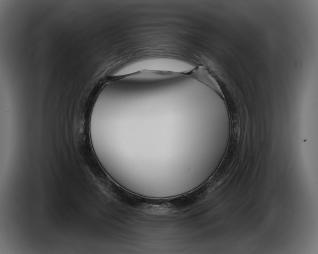 X0000082960548200703020214