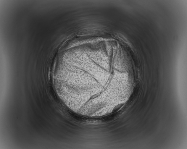 X0000082960549200703020214