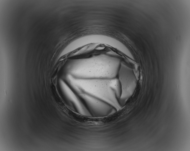 X0000082960552200703020215