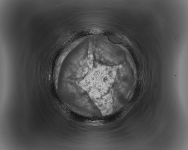 X0000082960553200703020215