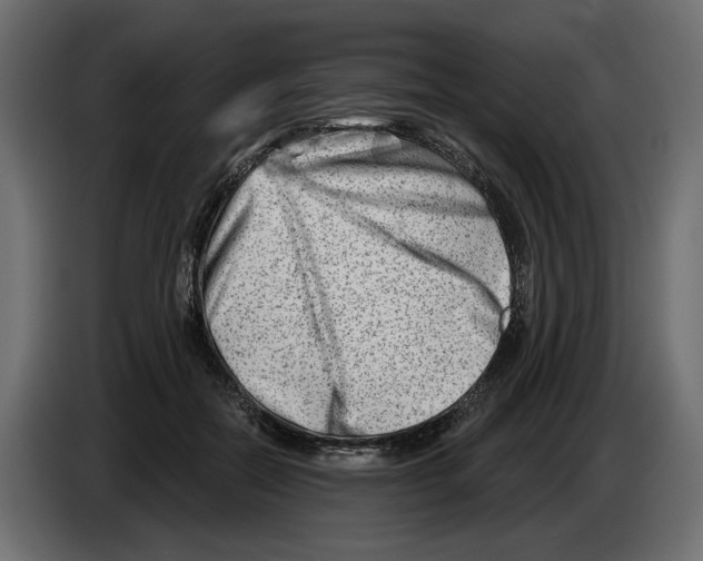 X0000082960554200703020215