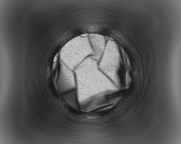 X0000082960555200703020215