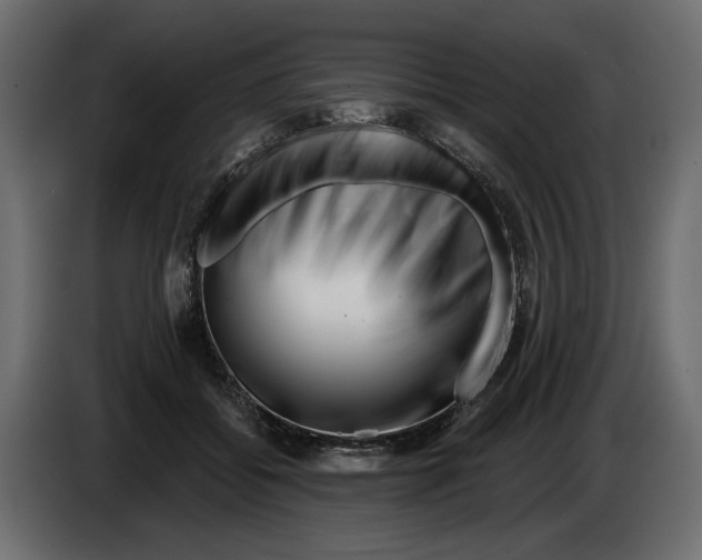 X0000082960556200703020215