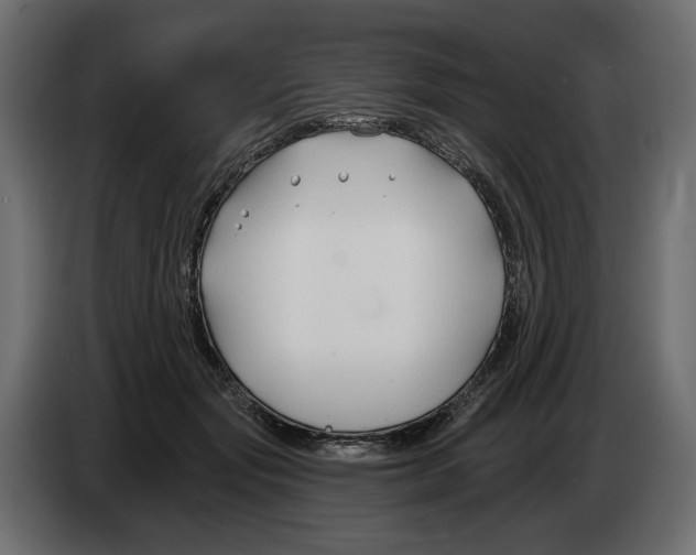 X0000082960557200703020215