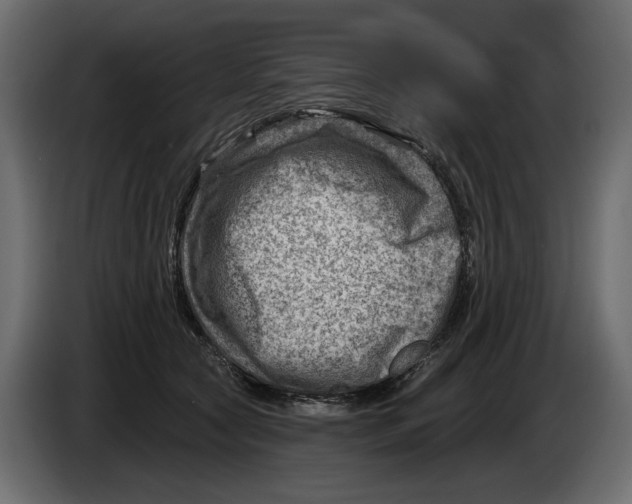 X0000082960561200703020215