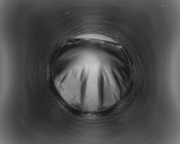 X0000082960562200703020215