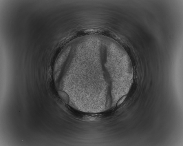 X0000082960563200703020215