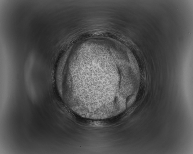 X0000082960565200703020215