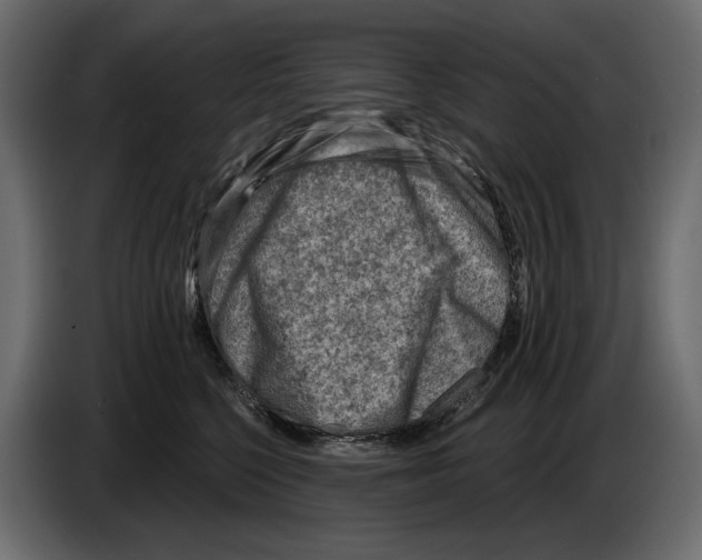 X0000082960568200703020215