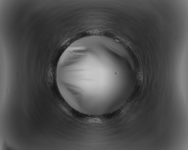 X0000082960572200703020215