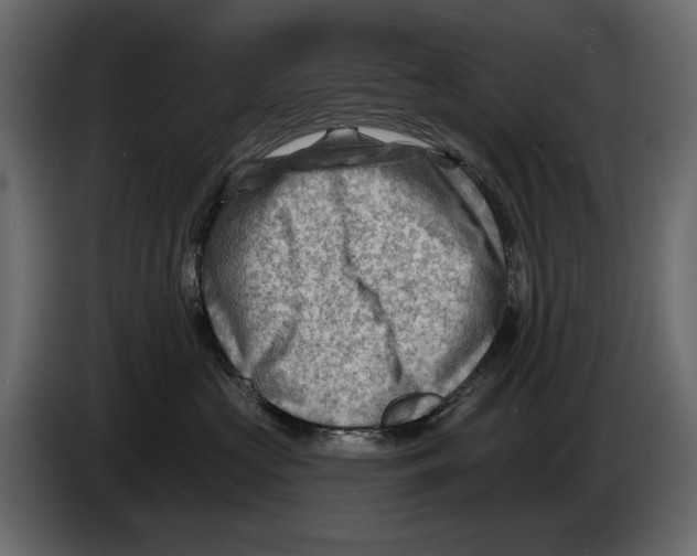 X0000082960573200703020215