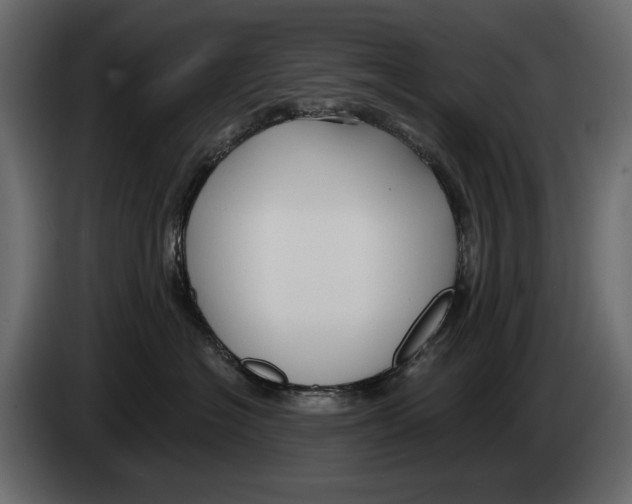 X0000082960574200703020215