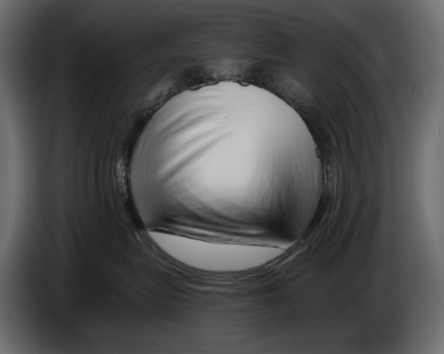 X0000082960575200703020215