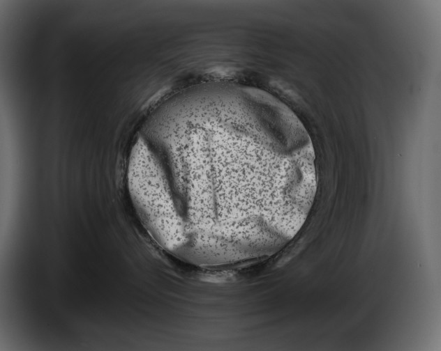 X0000082960576200703020215