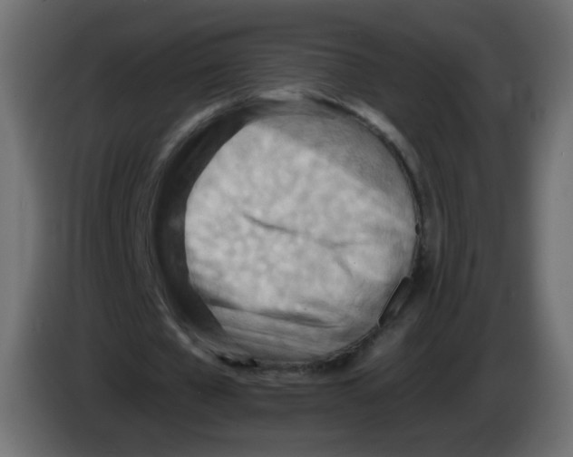 X0000082960577200703020214