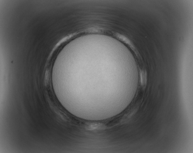 X0000082960579200703020214