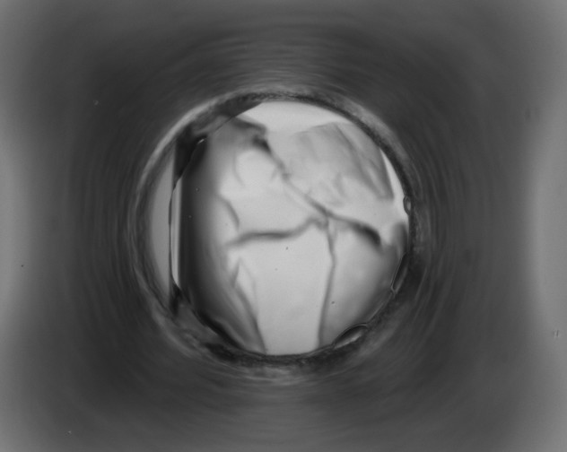 X0000082960580200703020214