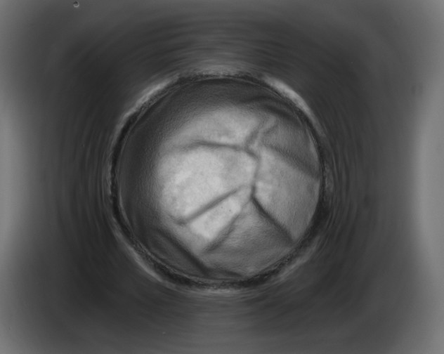 X0000082960581200703020214