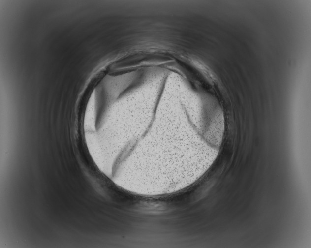 X0000082960582200703020214