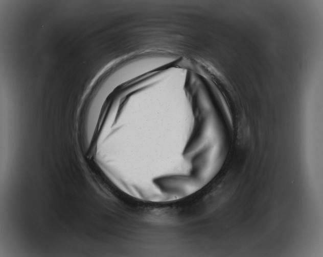 X0000082960584200703020214