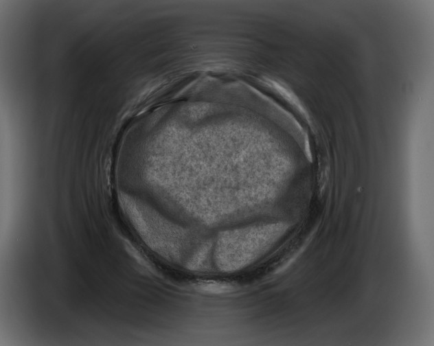 X0000082960585200703020214