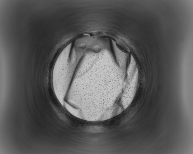 X0000082960586200703020214